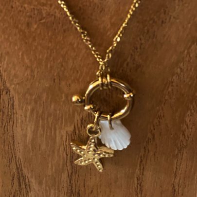 Collier Summer coquillage nacré avec 6 pendentifs
