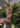 robe-chemise-kimono-motifs-colores_3