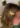 barrette-marguerite-dore_3