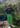 sweat-noir-carbone-impression-queen-rose_1