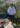 chemise-brodee-fleurs-moment-the-corner_1