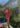 combishort-gaze-de-coton-terracotta_4