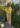 pantalon-magic-liberty-jaune-johanna-paris_4