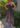 robe-boheme-a-bretelles-imprime-chocolat-bordeaux-johanna-paris_2