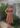 robe-mi-longue-popeline-chocolat-johanna-paris_2