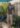 pantalon-magic-liberty-kaki-taupe-johanna-paris_2