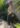 trench-court-camel-revers-leopard_4