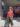 bermuda-coton-johanna-paris_1