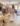 robe-fines-bretelles-broderie-anglaise-ecru-johanna-paris_3